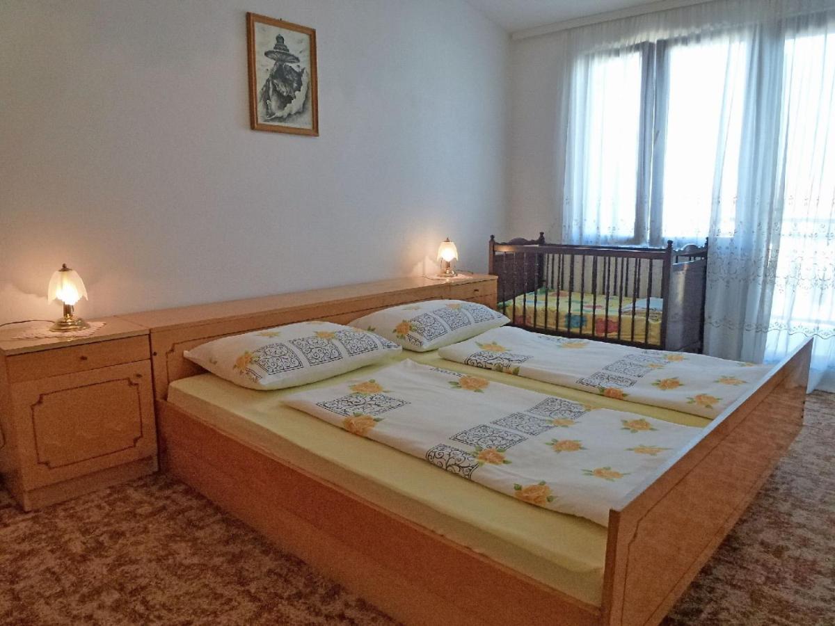 Apartment Milica ニヴィーチェ エクステリア 写真
